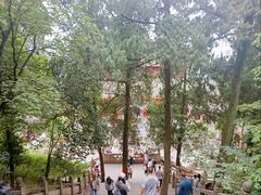 -成都老君山