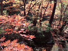 -丹东天桥沟景区