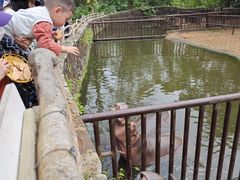 -海南热带野生动植物园