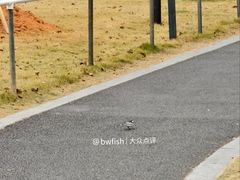 -中山市树木园