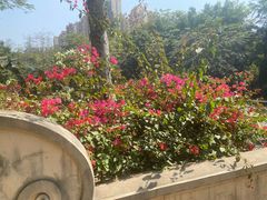-曼听御花园