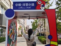 -中粮·祥云小镇