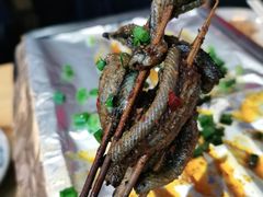 -晓靖轩烧烤(沙河风情店)
