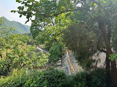-潭柘寺景区