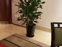 -三亚亚龙湾瑞吉酒店·铭轩中餐厅Mingxuan·海南菜·粤菜
