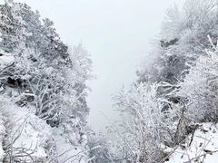 -光雾山旅游景区