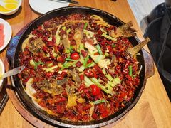 老板恋上鱼-老板恋上鱼(高新万达店)