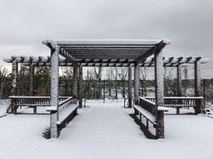 -上海崇明金茂凯悦酒店