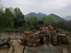 -西安秦岭野生动物园