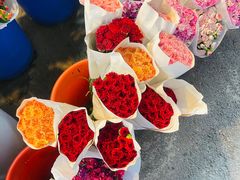 -循礼门鲜花花市(武汉循礼门店)