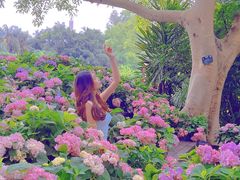 -广西壮族自治区药用植物园