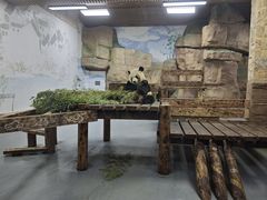 -无锡动物园·太湖欢乐园