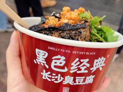 -黑色经典臭豆腐·湖南特产(潇湘文化店)