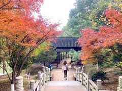 -八大山人梅湖景区