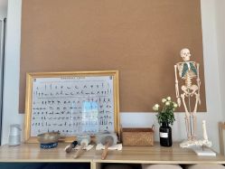 -妙YOGA瑜伽健康管理中心