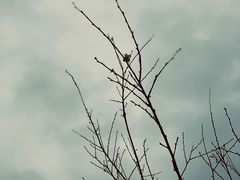 -狮子关旅游区