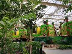 -南宫五洲植物乐园