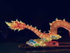 -琅岐红光湖公园
