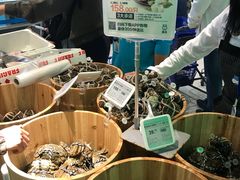 -盒马鲜生(大成店)