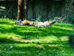 -北京野生动物园