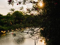-上海吴淞炮台湾国家湿地公园