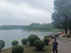 -丁香湖公园