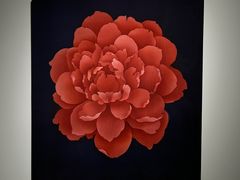 -上海宝龙美术馆
