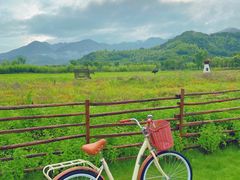 -溪口-滕头旅游景区