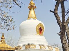 -护国法轮寺