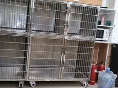 -宠福鑫动物医院(望京分院)