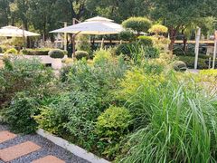 -翠贝卡&Mama Kelly Brunch Coffee(河西店)