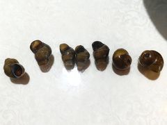 -呼吸森林·生态农庄农家乐私房菜