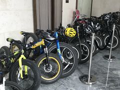 -上海崇明金茂凯悦酒店