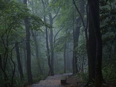 -九曜山