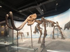 -辽宁古生物博物馆