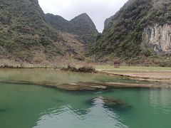 -靖西鹅泉风景区