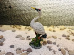 -中国书法大厦日本料理