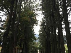 -西昌邛海宾馆