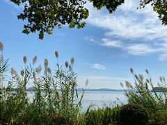 -东湖生态旅游风景区