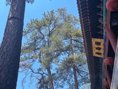 -承德避暑山庄景区