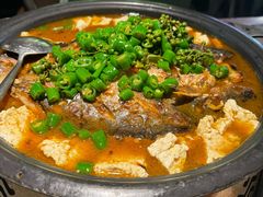 -探鱼·鲜青椒爽麻烤鱼(苏宁广场店)