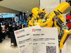 -华美国际影城(旧宫永辉店)