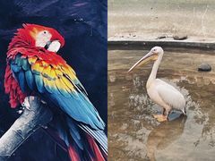 -昆明动物园