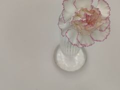 -眉州东坡(亚运村店)