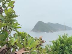 -东澳岛