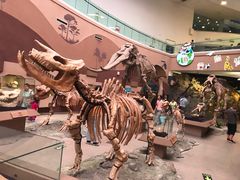 -陕西自然博物馆