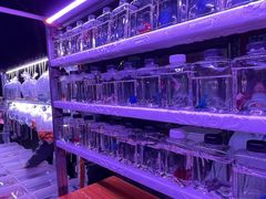 -华声天桥民俗文化园