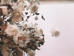 -iF摄影•全家福•证件照•形象照(南山店)