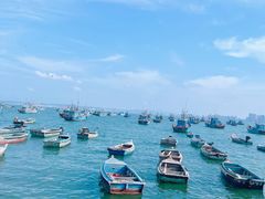 -海源公园