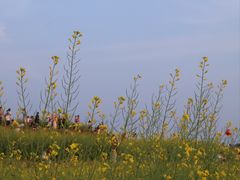 -光明小镇欢乐田园